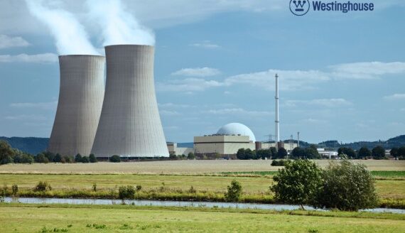 Introduction to the Nuclear Power Industry